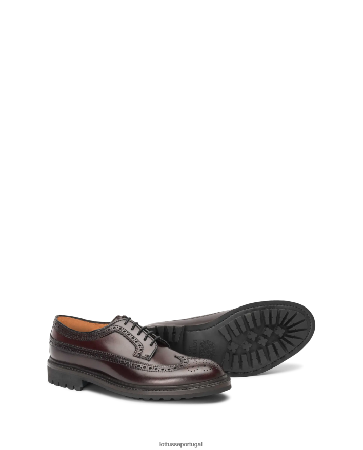 ponto Lottusse homens cavalo walton shell cordovan derby marrom 86F22T55 calçados
