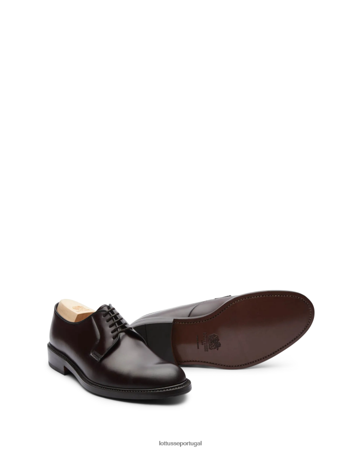 ponto Lottusse homens glasgow shell cavalo cordovan derby marrom 86F22T59 calçados