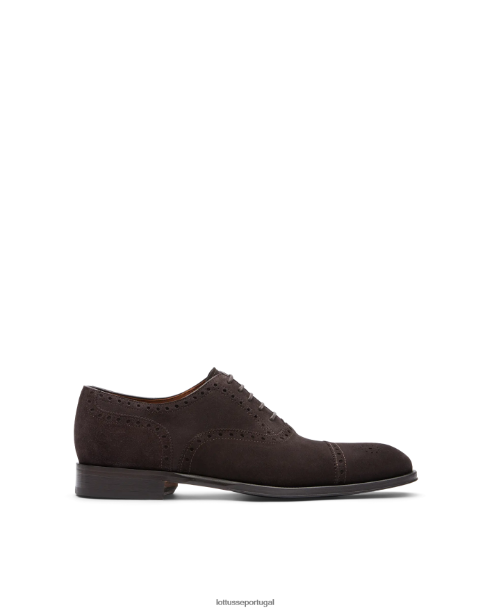 ponto Lottusse homens Lenox camurça bezerro oxford café 86F22T138 calçados