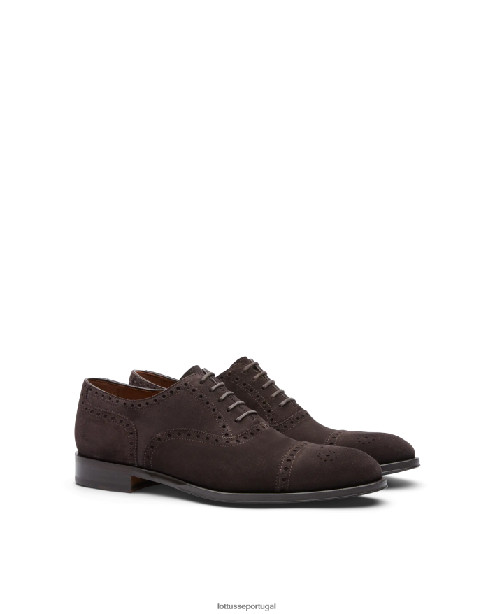 ponto Lottusse homens Lenox camurça bezerro oxford café 86F22T138 calçados