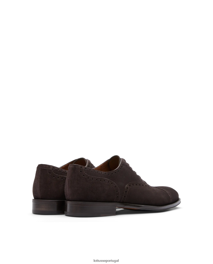 ponto Lottusse homens Lenox camurça bezerro oxford café 86F22T138 calçados