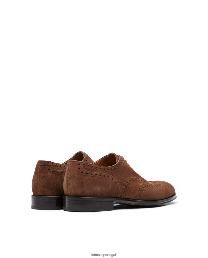 ponto Lottusse homens Lenox camurça bezerro oxford marrom 86F22T140 calçados