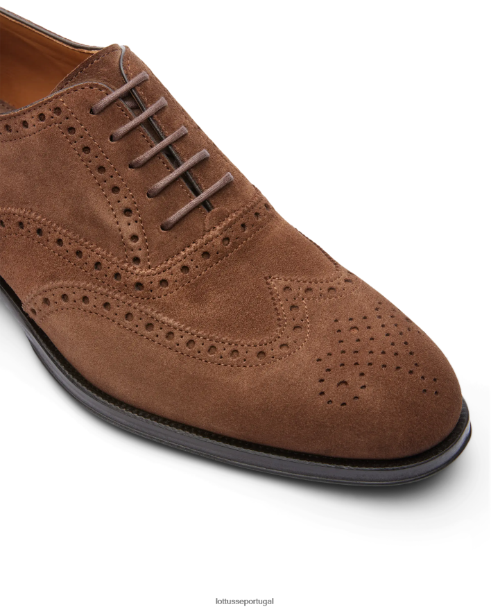 ponto Lottusse homens Lenox camurça bezerro oxford marrom 86F22T140 calçados