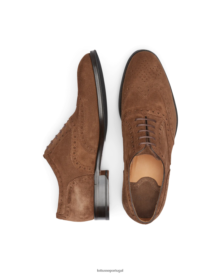 ponto Lottusse homens Lenox camurça bezerro oxford marrom 86F22T140 calçados