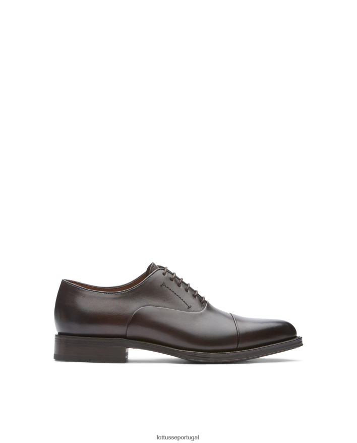 ponto Lottusse homens crosta premium anilina bezerro oxford café 86F22T2 calçados