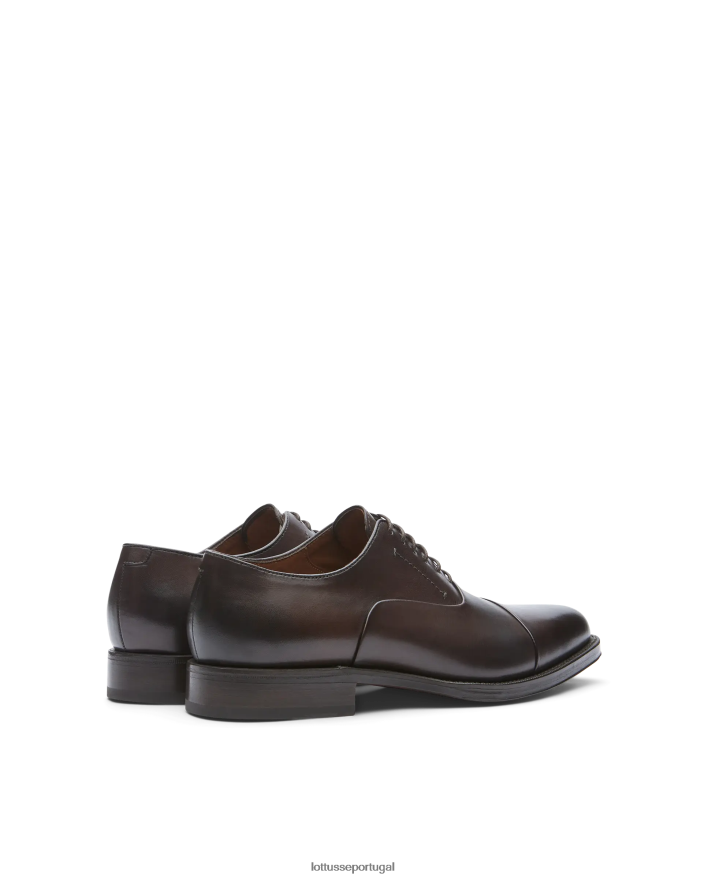 ponto Lottusse homens crosta premium anilina bezerro oxford café 86F22T2 calçados