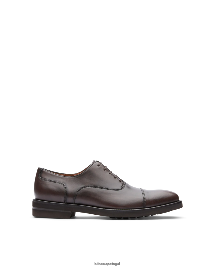 ponto Lottusse homens holborn escovar panturrilha oxford café 86F22T145 calçados
