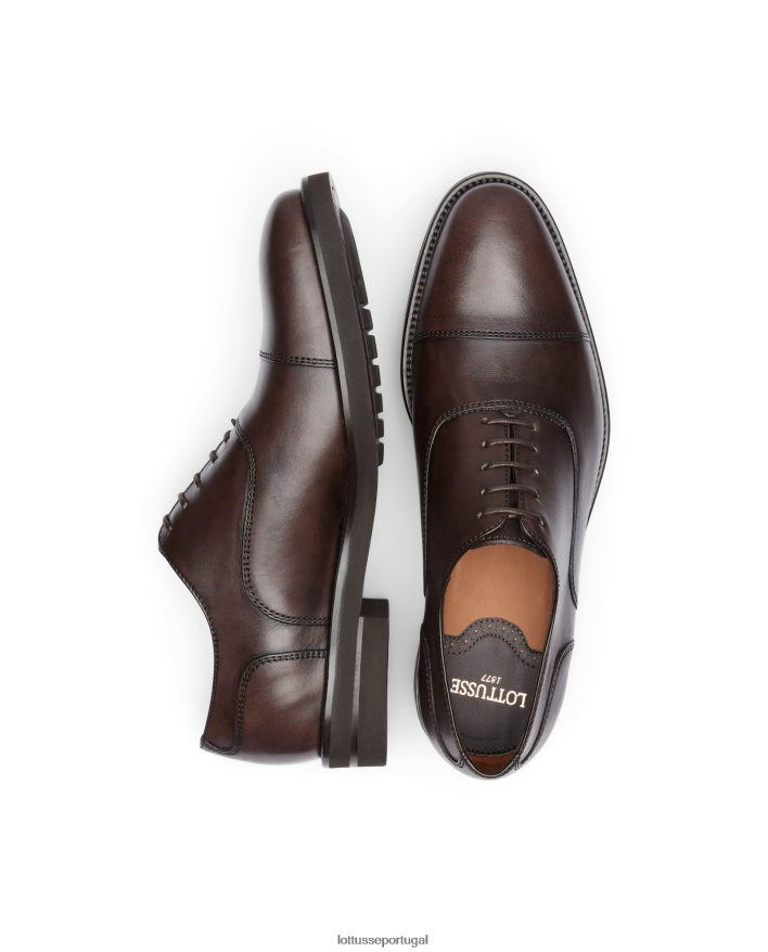 ponto Lottusse homens holborn escovar panturrilha oxford café 86F22T145 calçados