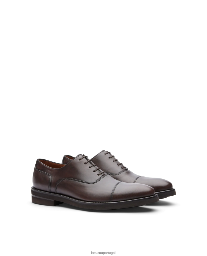 ponto Lottusse homens holborn escovar panturrilha oxford café 86F22T145 calçados