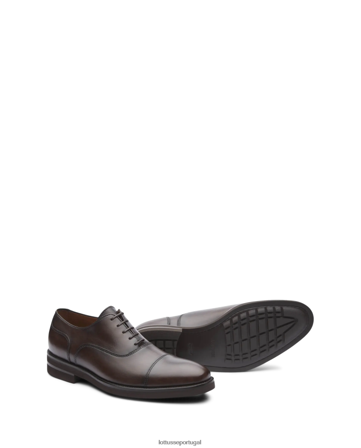 ponto Lottusse homens holborn escovar panturrilha oxford café 86F22T145 calçados