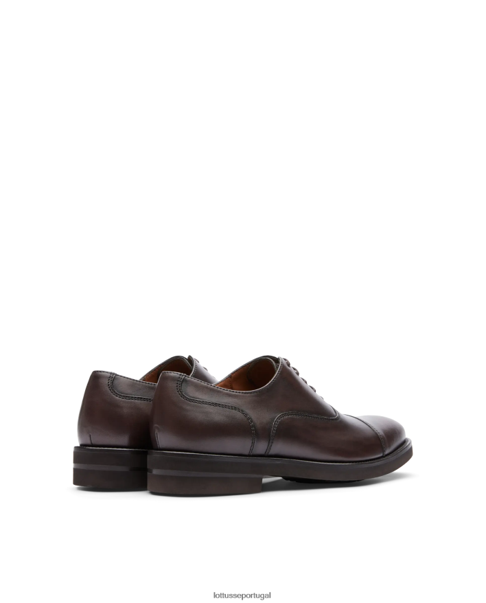 ponto Lottusse homens holborn escovar panturrilha oxford café 86F22T145 calçados
