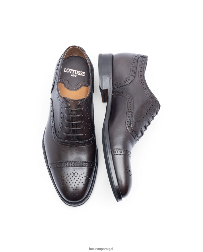 ponto Lottusse homens lenox escovar bezerro oxford café 86F22T11 calçados