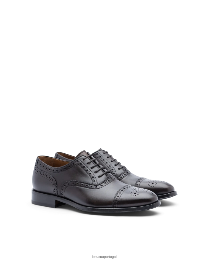 ponto Lottusse homens lenox escovar bezerro oxford café 86F22T11 calçados