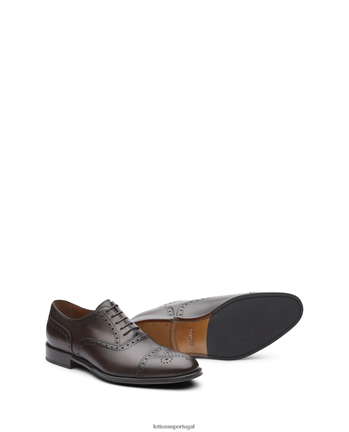 ponto Lottusse homens lenox escovar bezerro oxford café 86F22T11 calçados