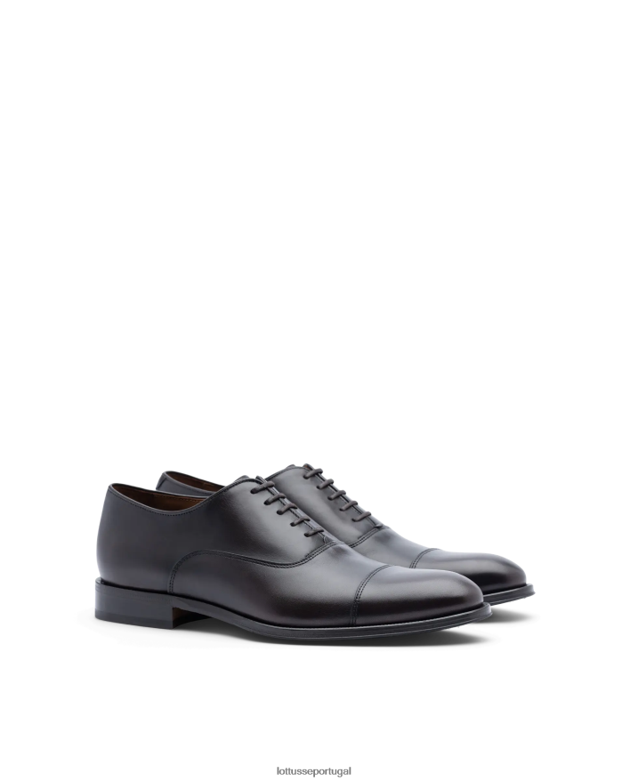 ponto Lottusse homens lenox escovar bezerro oxford café 86F22T9 calçados