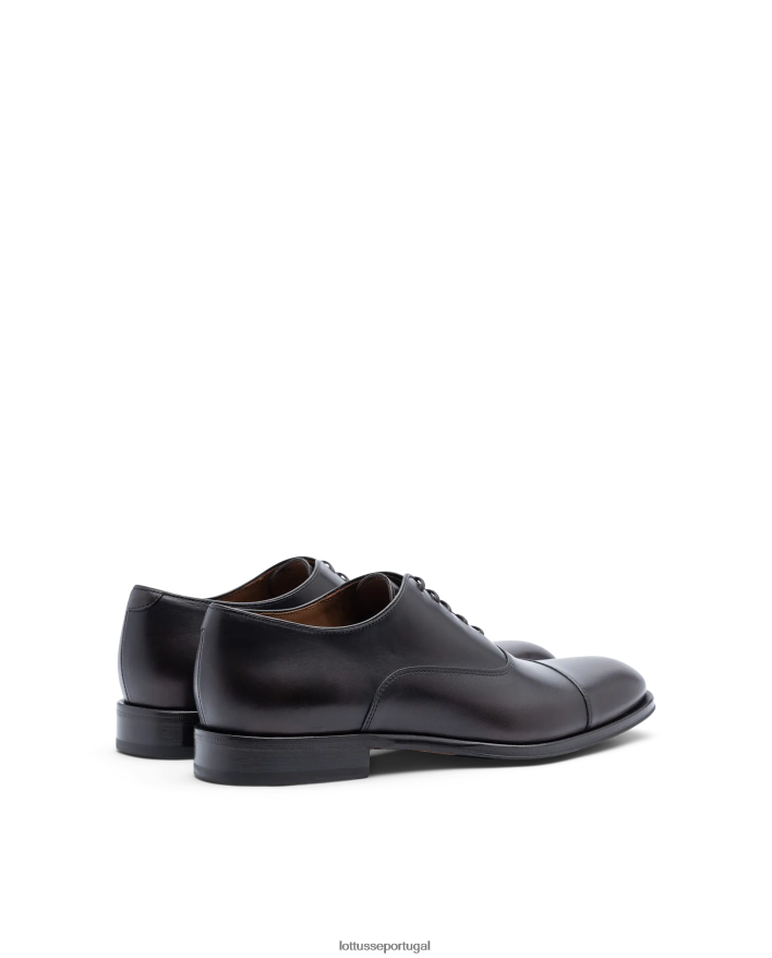 ponto Lottusse homens lenox escovar bezerro oxford café 86F22T9 calçados