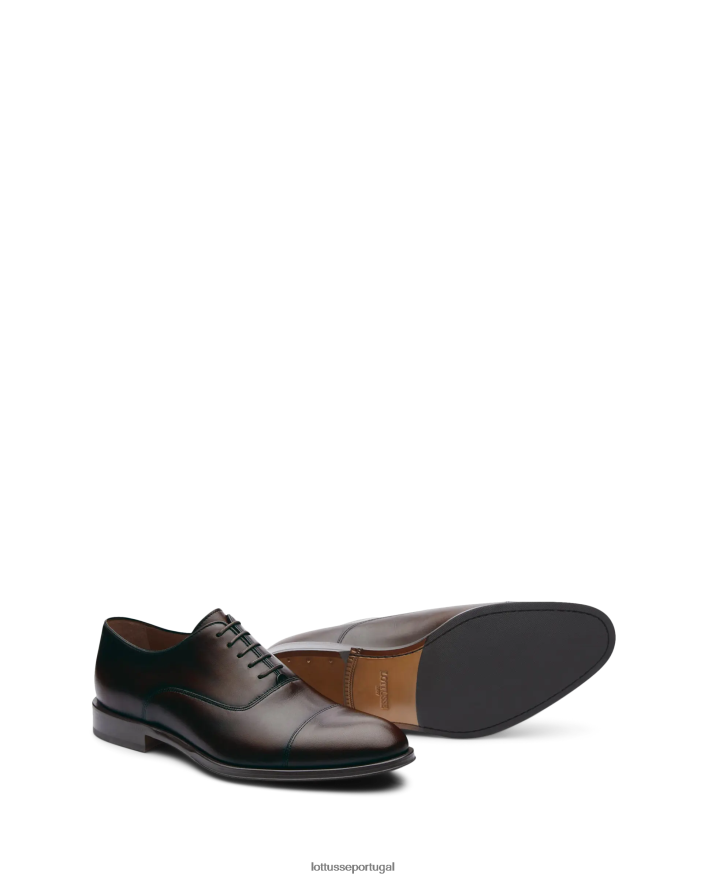 ponto Lottusse homens lenox escovar bezerro oxford café 86F22T9 calçados