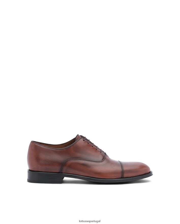 ponto Lottusse homens lenox escovar bezerro oxford marrom 86F22T137 calçados