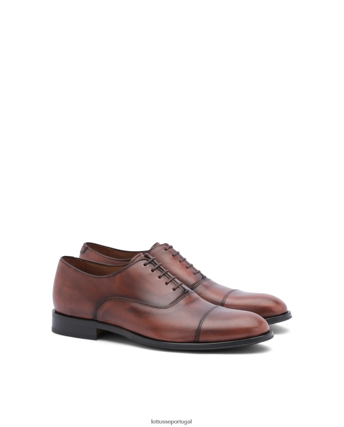 ponto Lottusse homens lenox escovar bezerro oxford marrom 86F22T137 calçados