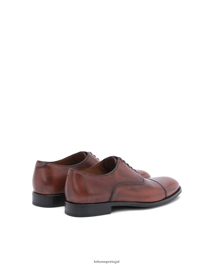 ponto Lottusse homens lenox escovar bezerro oxford marrom 86F22T137 calçados
