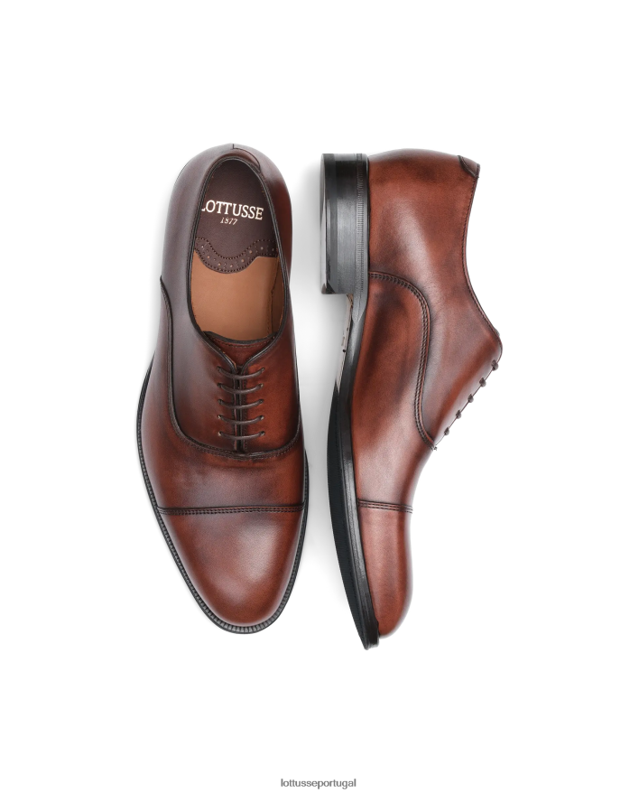 ponto Lottusse homens lenox escovar bezerro oxford marrom 86F22T137 calçados