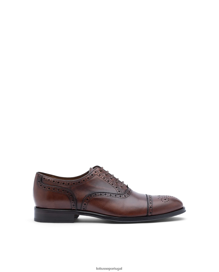 ponto Lottusse homens lenox escovar bezerro oxford marrom 86F22T139 calçados