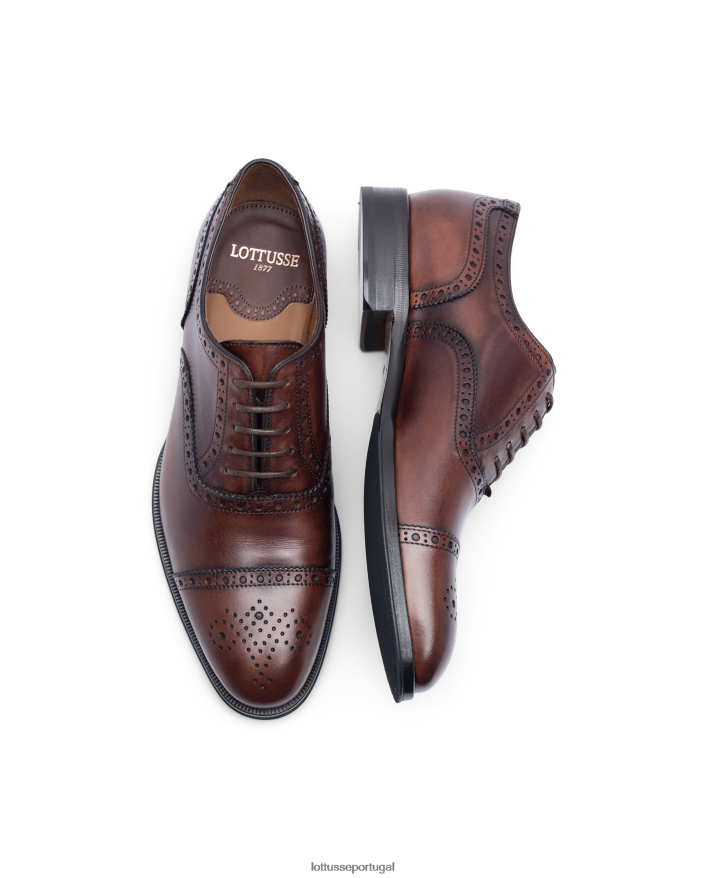 ponto Lottusse homens lenox escovar bezerro oxford marrom 86F22T139 calçados