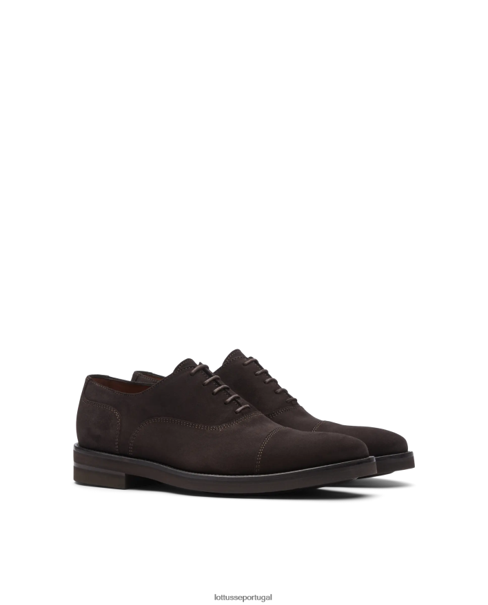 ponto Lottusse homens oxford camurça holborn bezerro café 86F22T16 calçados