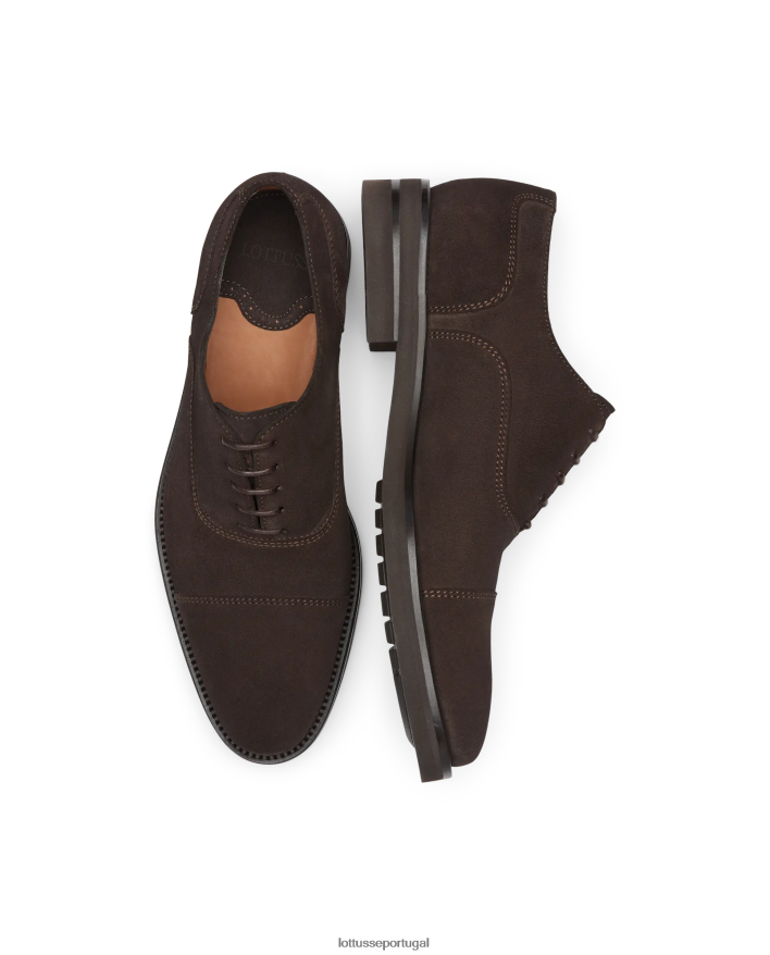 ponto Lottusse homens oxford camurça holborn bezerro café 86F22T16 calçados