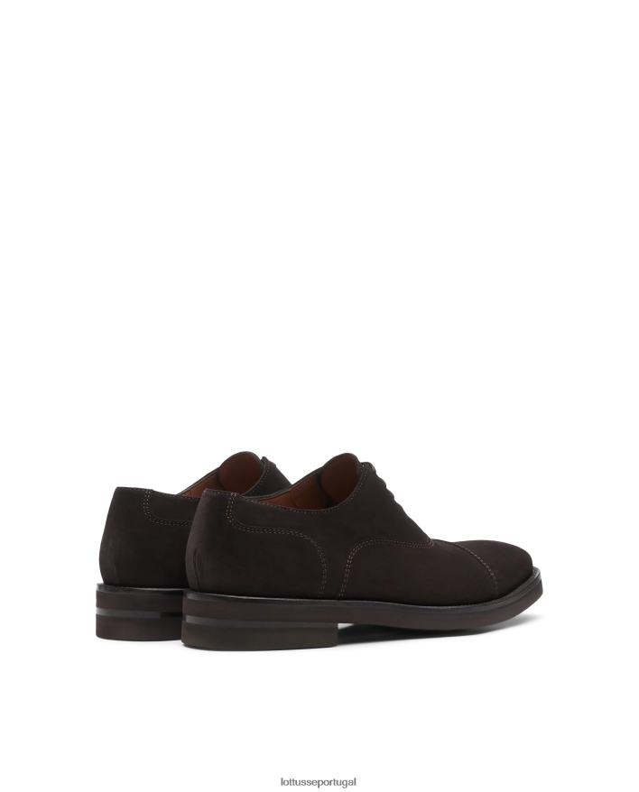 ponto Lottusse homens oxford camurça holborn bezerro café 86F22T16 calçados