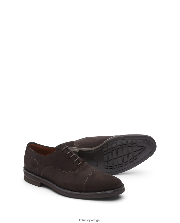 ponto Lottusse homens oxford camurça holborn bezerro café 86F22T16 calçados