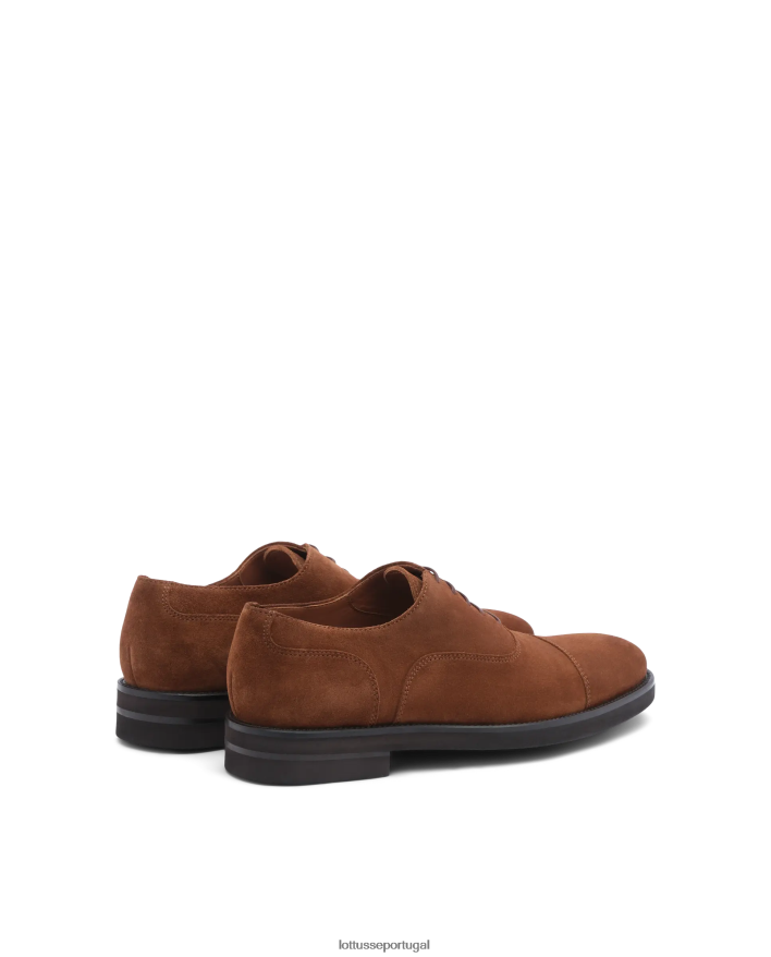 ponto Lottusse homens oxfords de camurça de bezerro holborn marrom 86F22T144 calçados