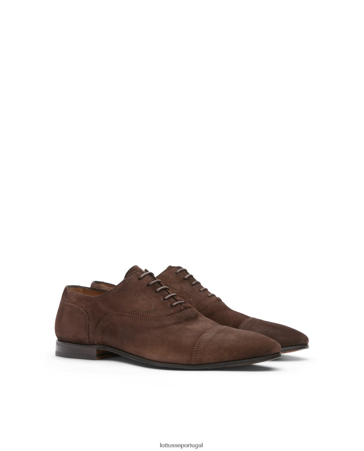ponto Lottusse homens verona escovar bezerro oxford café 86F22T75 calçados