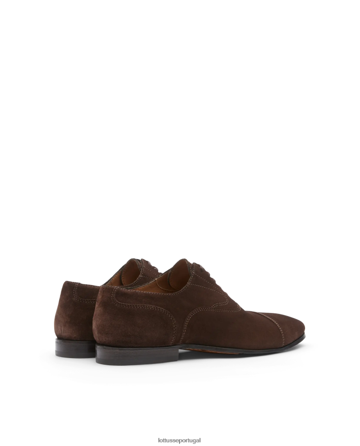 ponto Lottusse homens verona escovar bezerro oxford café 86F22T75 calçados